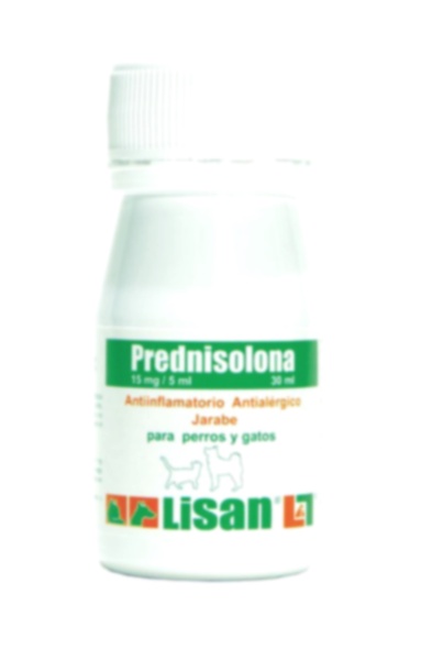 prednisolona